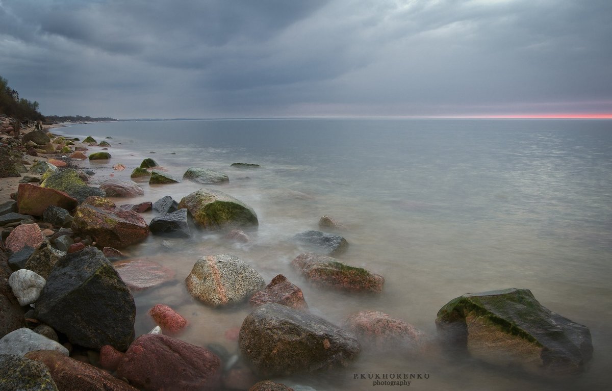 longexpo - Павел Кухоренко