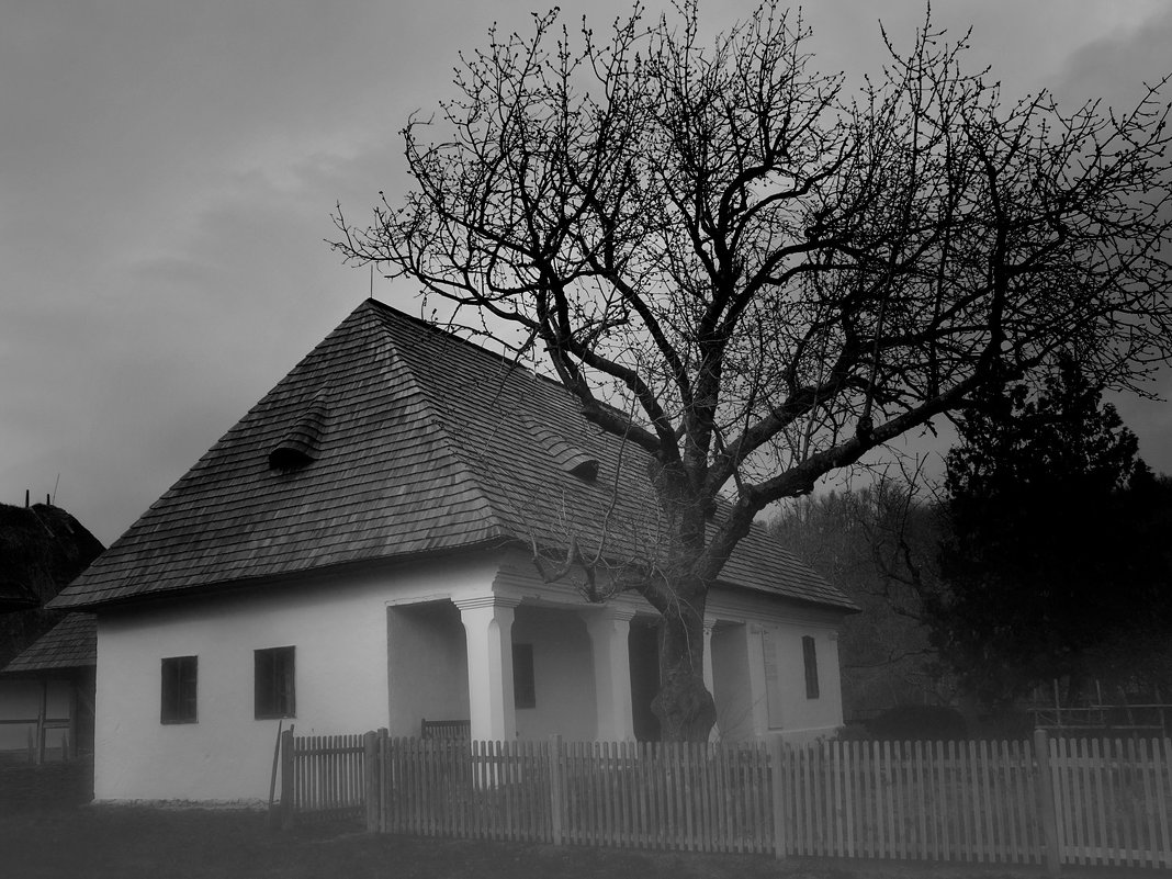 The Haunted House - Nikita Afanaszjev