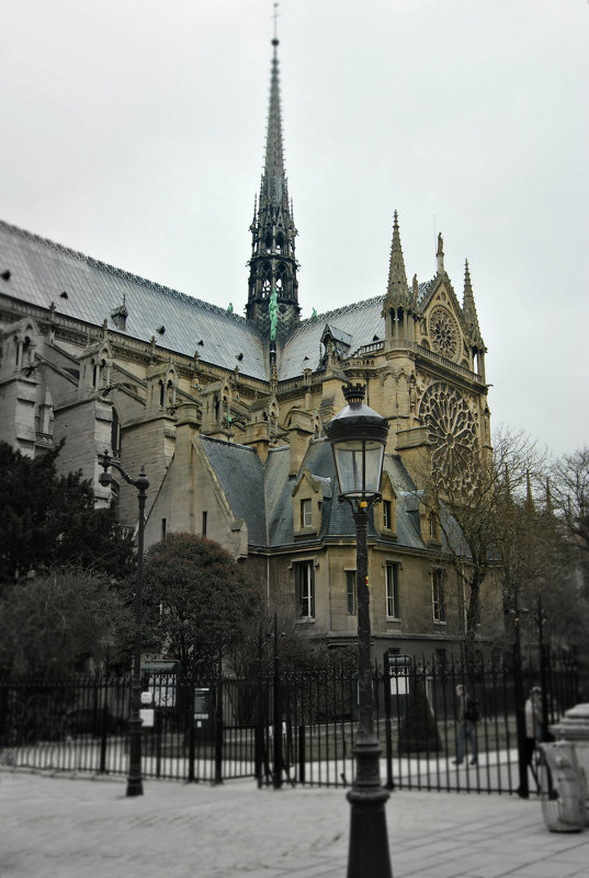 Собор Парижской Богоматери (Notre Dame de Paris) - Galina Belugina