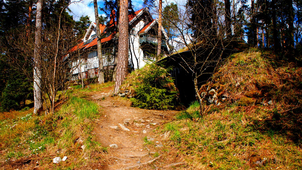Дом Яна Сибелиуса, Финляндия. - Дарья :)