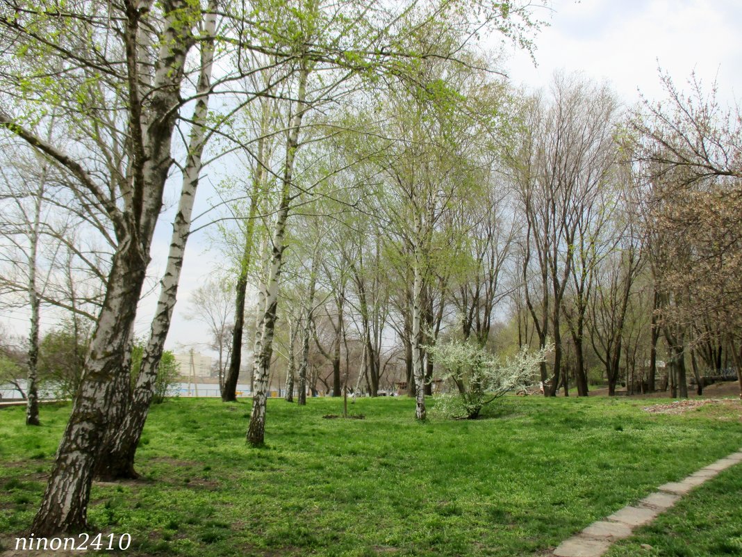 Весна в Ростове-на-Дону - Нина Бутко