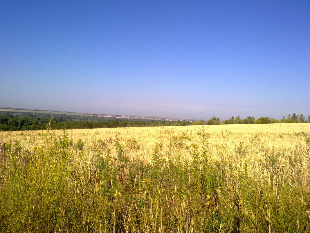 Оренбуржье - A С