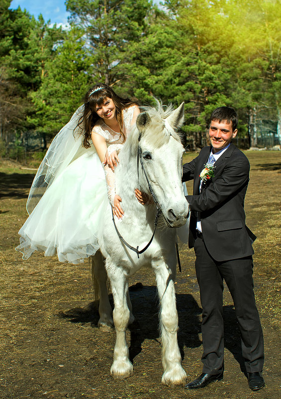 Наша свадебная лошадка - Дмитрий Конев