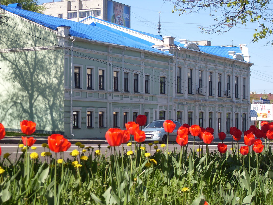 В городе весна - MarinaKiseleva2014 