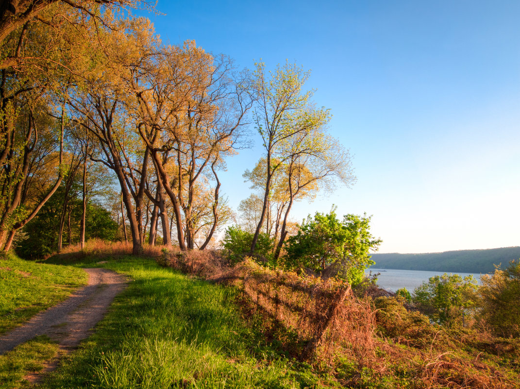 Spring in NY - Vadim Raskin