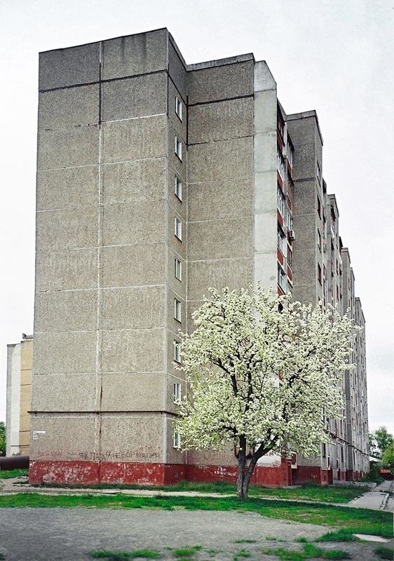 Цвет, зелень, бетон - Сергей Тарабара