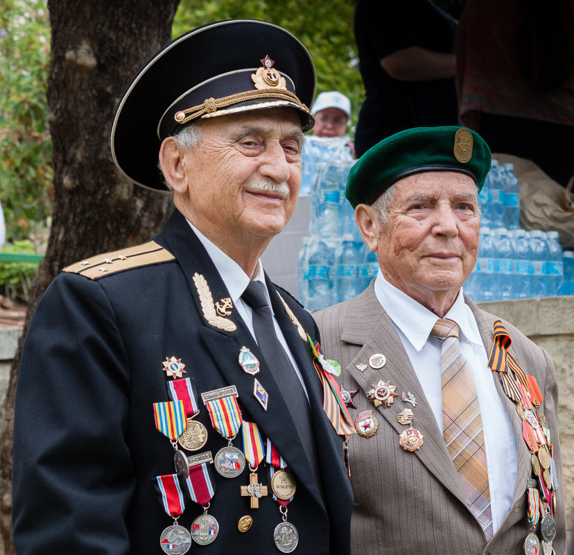 Они сражались за Родину - Валерий Цингауз