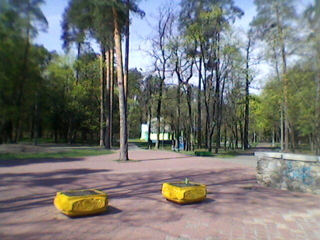 В парке - Миша Любчик