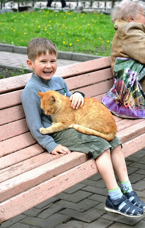 Мальчик и рыжий кот - Игорь Попов