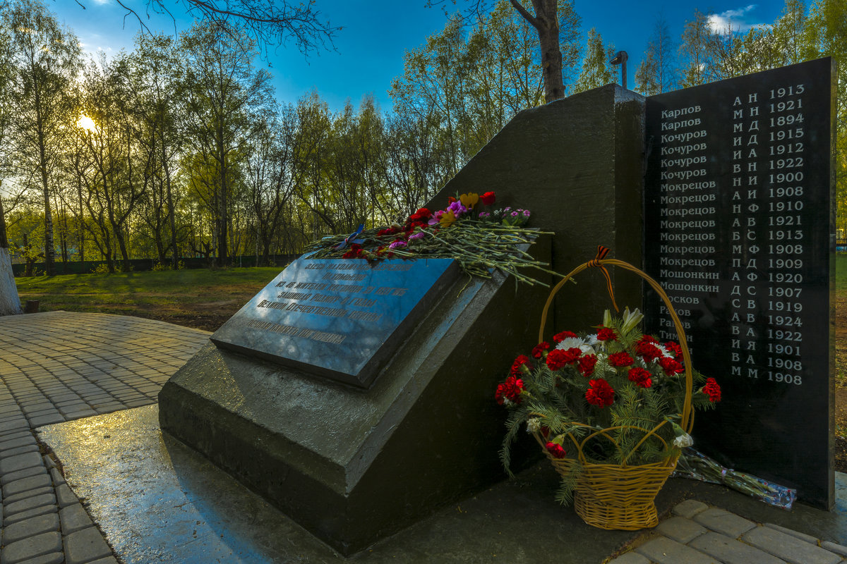 Половина деревни погибло... - Юрий Митенёв