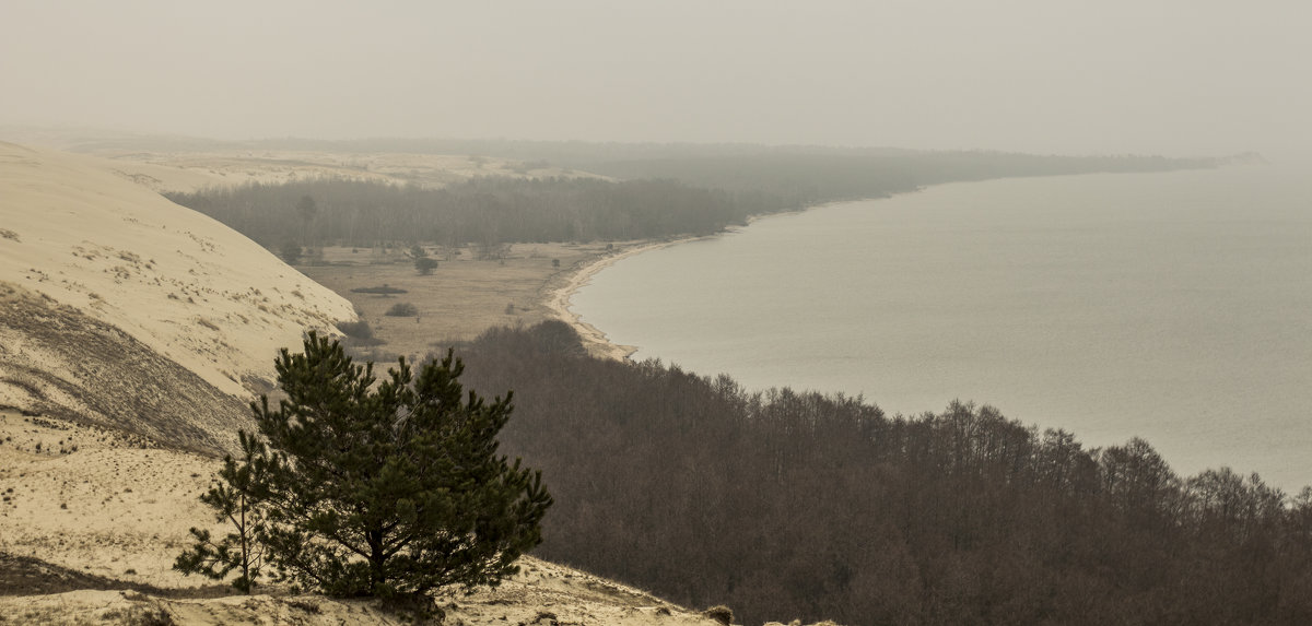 Меланхолия - Тамара Пермякова