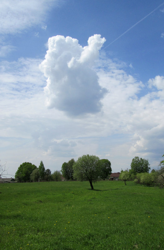 *** - Валентина Береснева