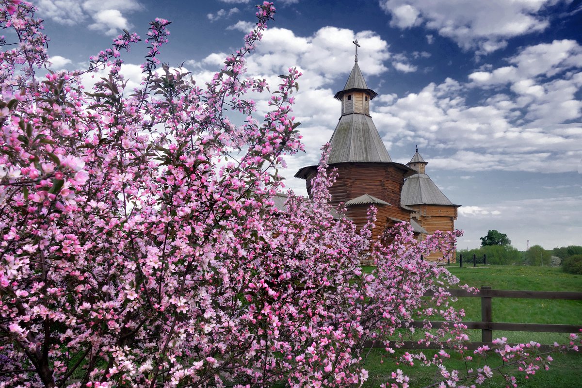 май в парке