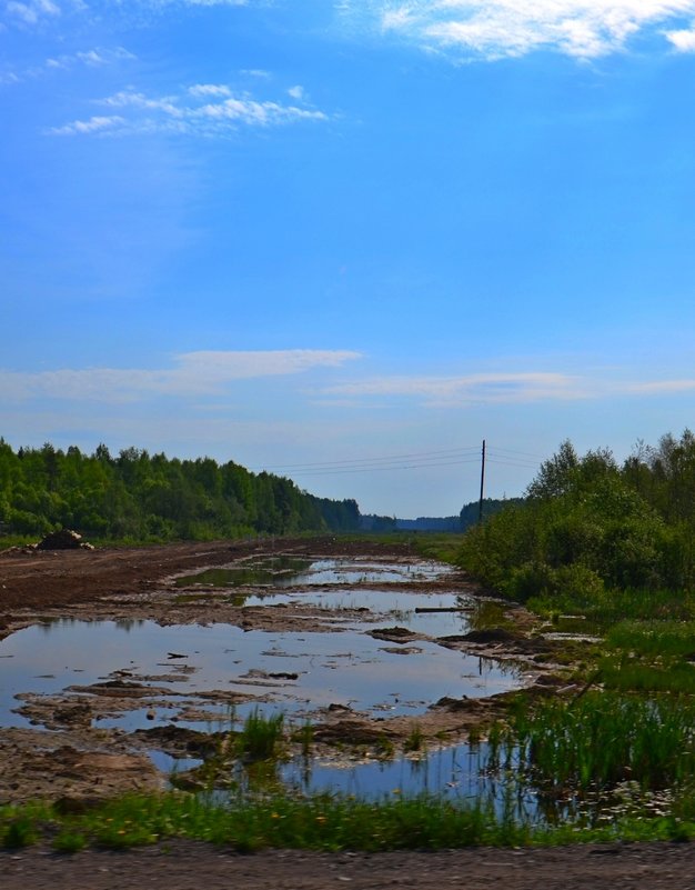 В ДОРОГЕ - Виктор Осипчук