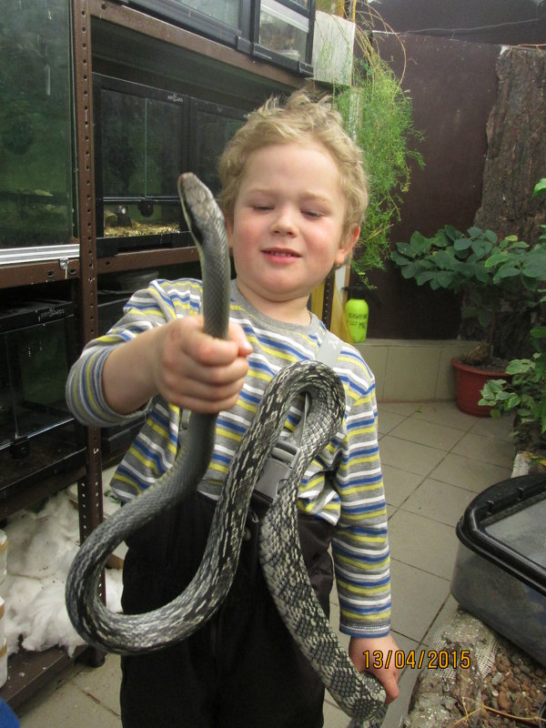мальчик со змеёй - larisa Киселёва
