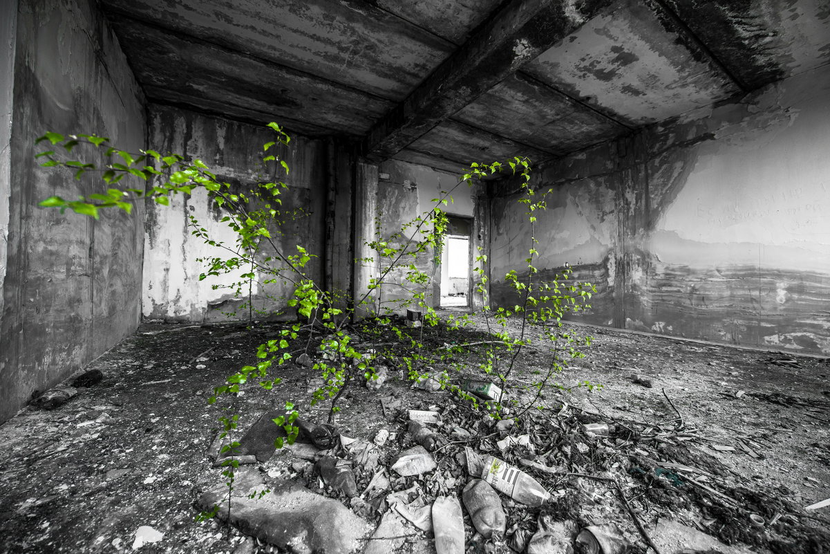 Abandoned place - Артем Мухин