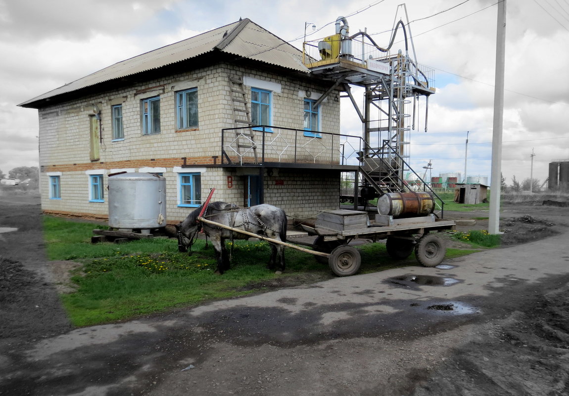 Сельская жизнь - Павел Галактионов