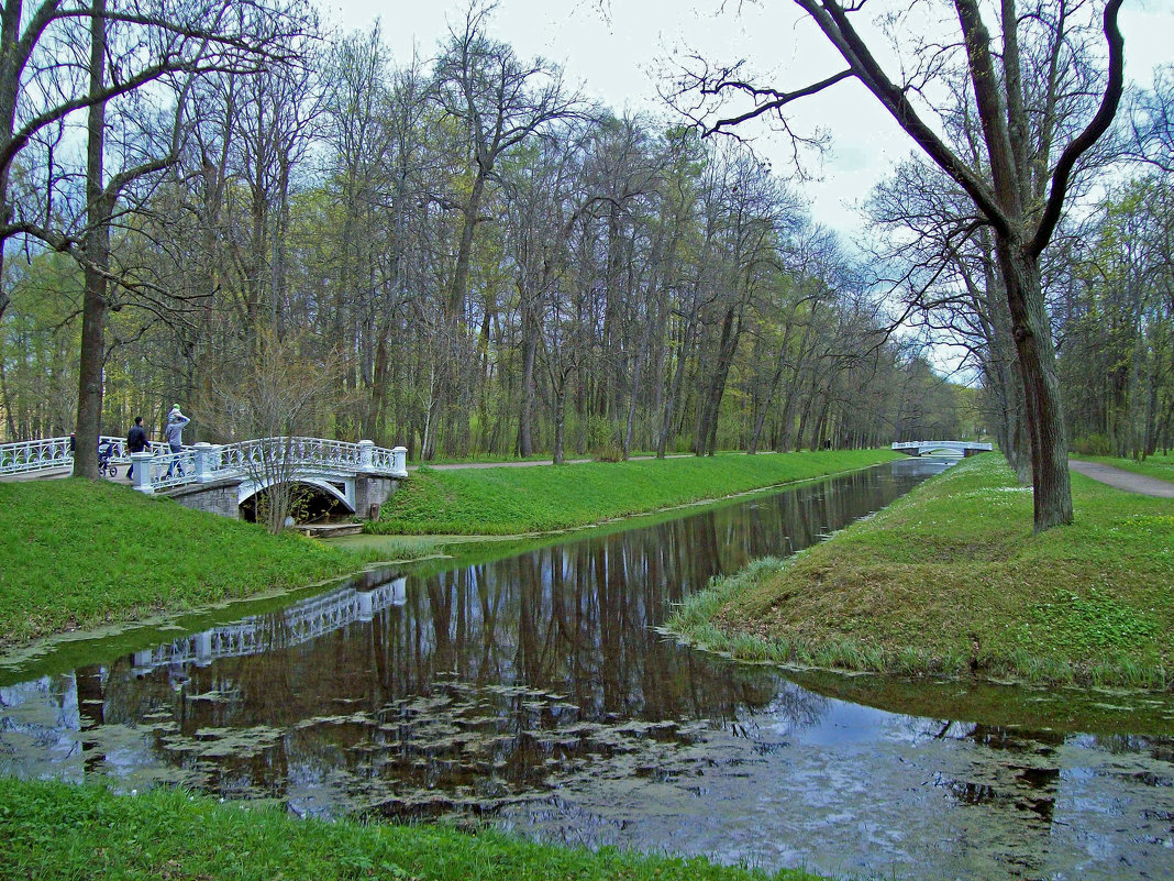 Царское село. Александровский парк - alemigun 