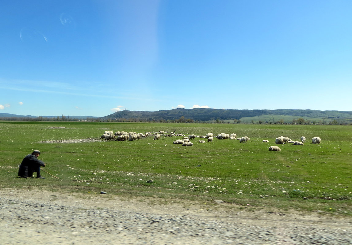 Пастух и овцы - Наталья (D.Nat@lia)