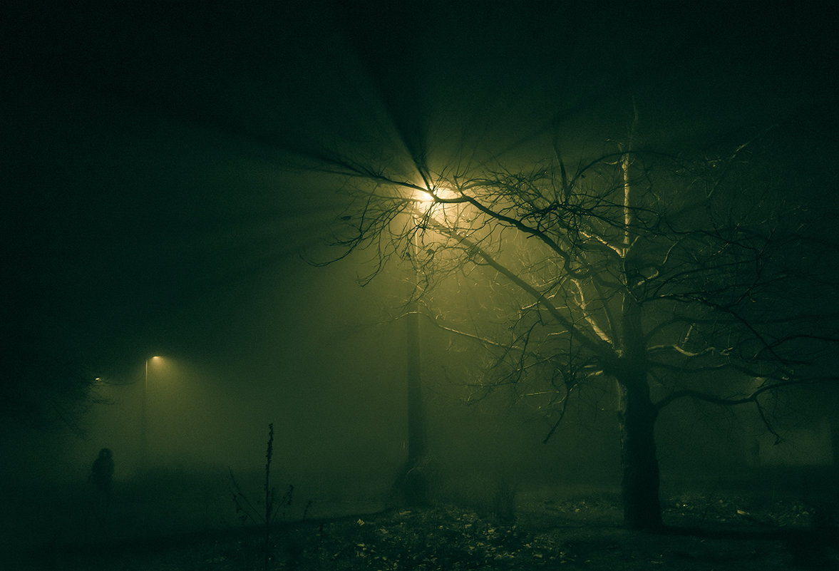 Из тумана... - Алексей Бондаренко