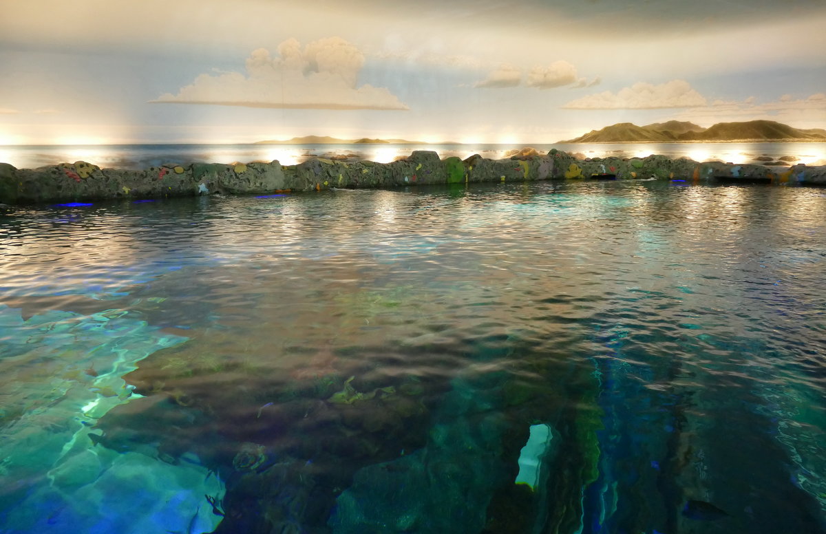 Так выглядит один из аквариумов Ripley’s Aquarium of Canada - Юрий Поляков