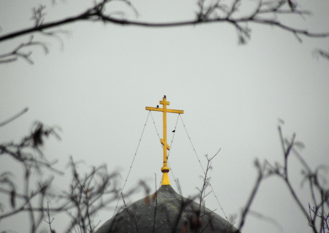 . - Виталий Городниченко