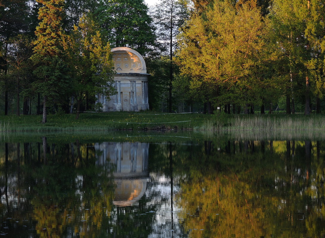 павильон - sv.kaschuk 