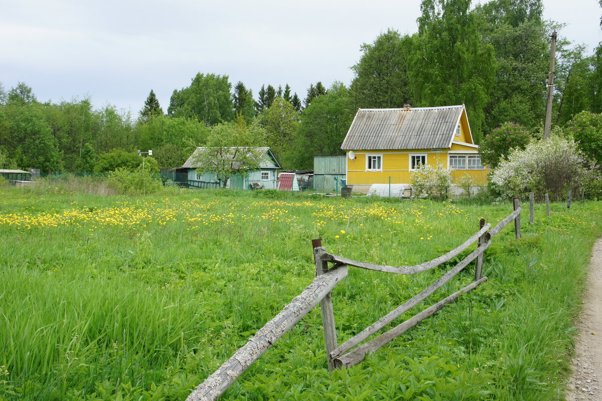 Деревня Старое Гарколово - Елена Павлова (Смолова)