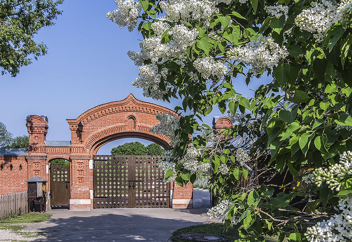 Главные ворота в монастырь - Игорь Егоров