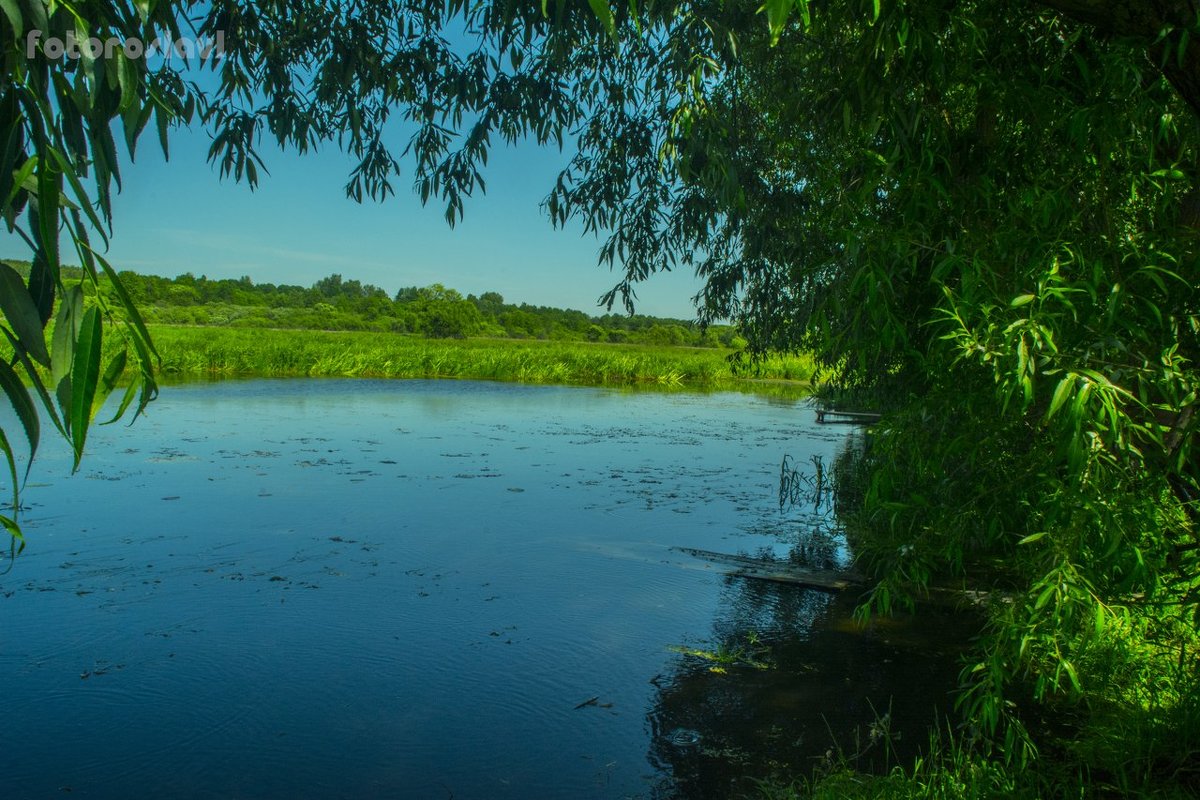 Лето у реки Остёр | Лето 2015 | Summer2015 - Павел Данилевский