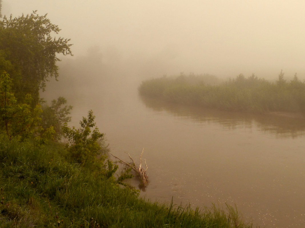 Туманным утром на реке - Олег Дмитриев