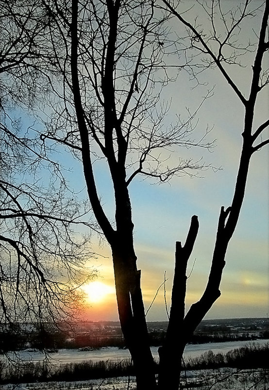 Закат на Оке зимой - Elena 