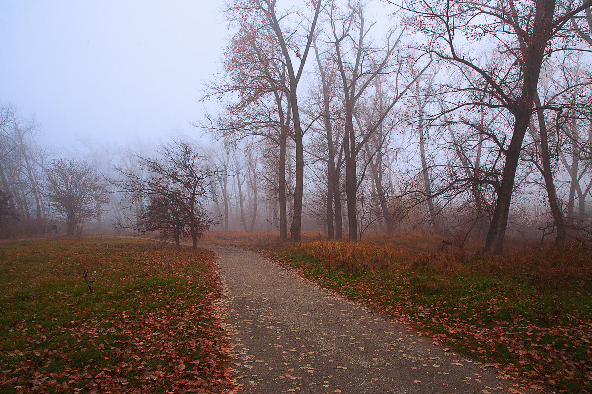 Осенний туман. - Геннадий 