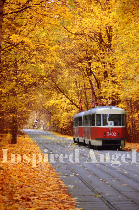 Трамвай - Окрылённый Ангел