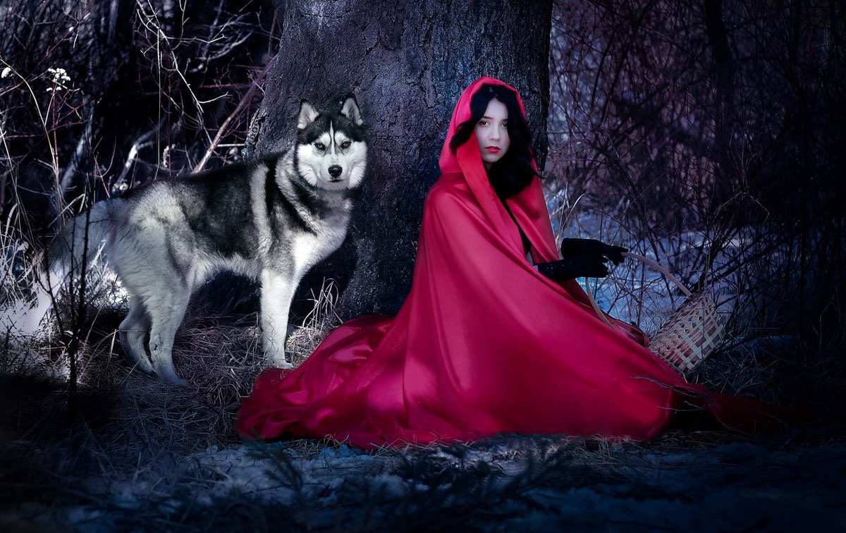 Волк и Красная Шапочка - Таня Грин