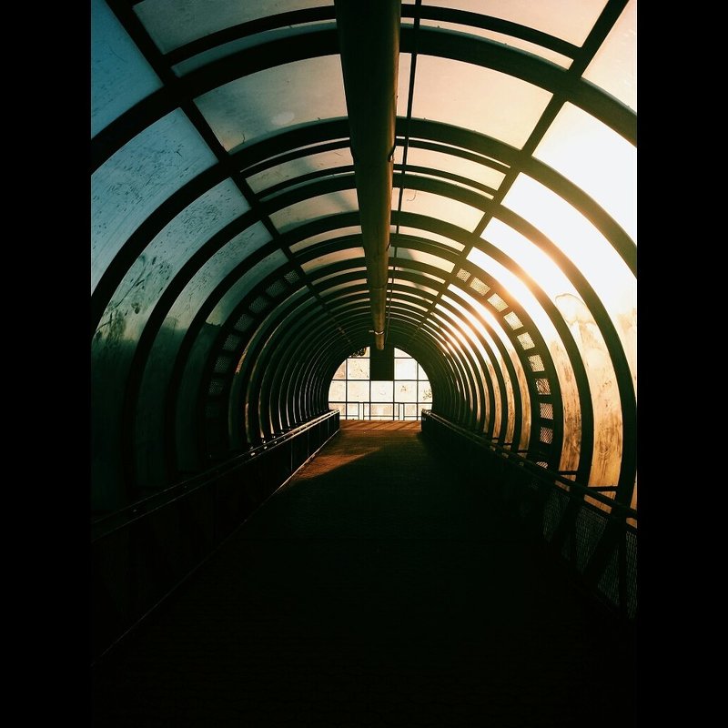 Туннель света - Daria Snow