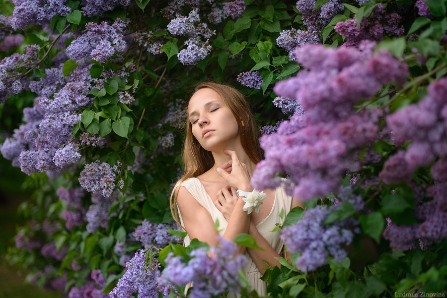 Сиреневый сад - Ludmila Zinovina