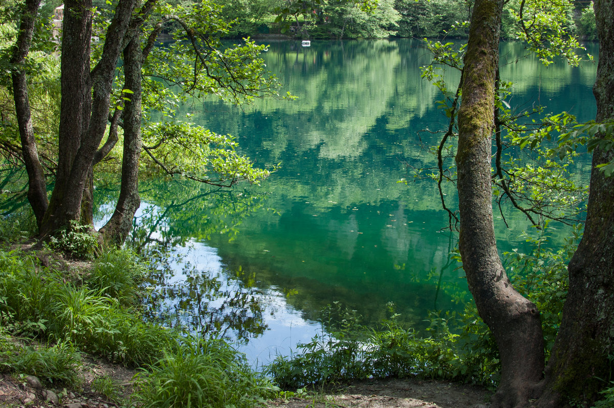 Озеро в Чехове голубое
