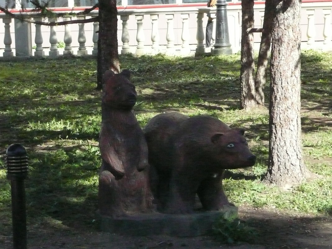 Медведи в городе - Виктор 