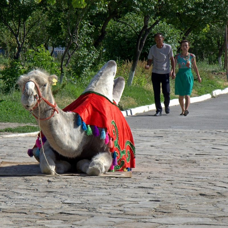 Фотосессия - Александр Грищенко