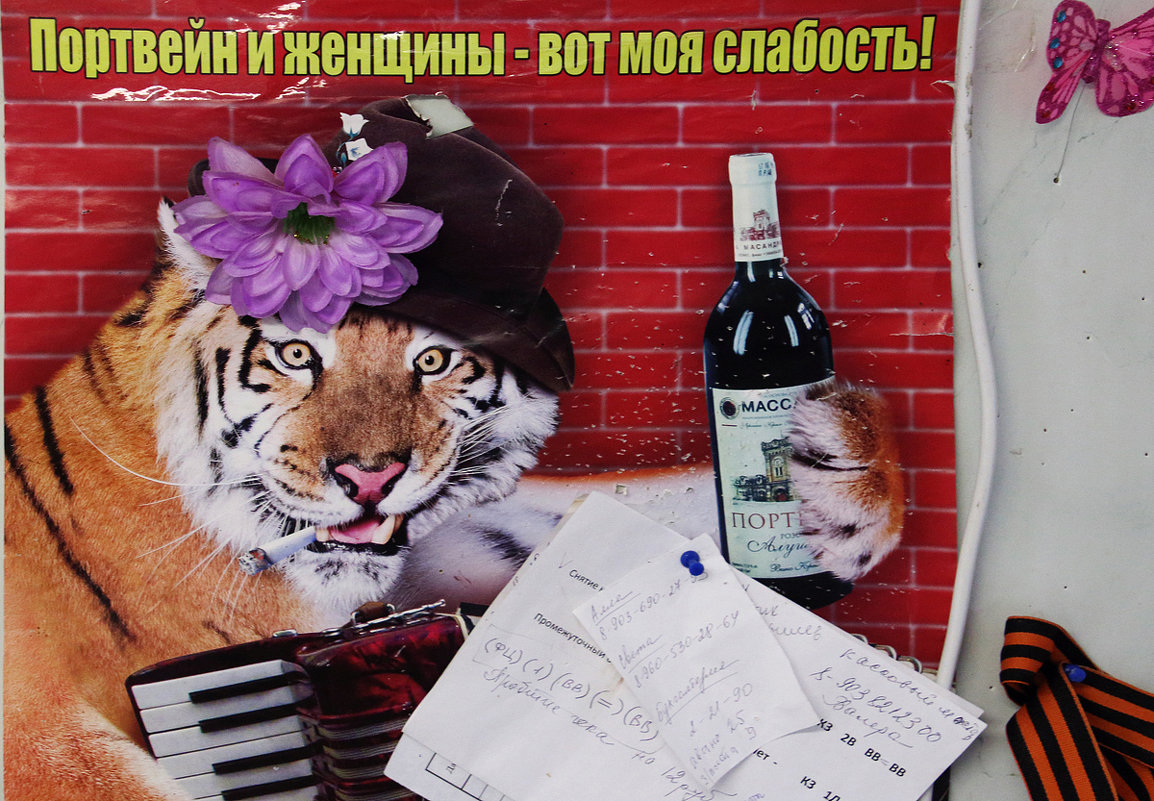 Плакат - Nikolay Monahov