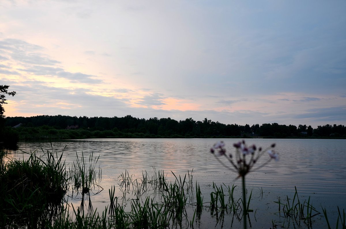 Летний вечер на озере - Ирина Н