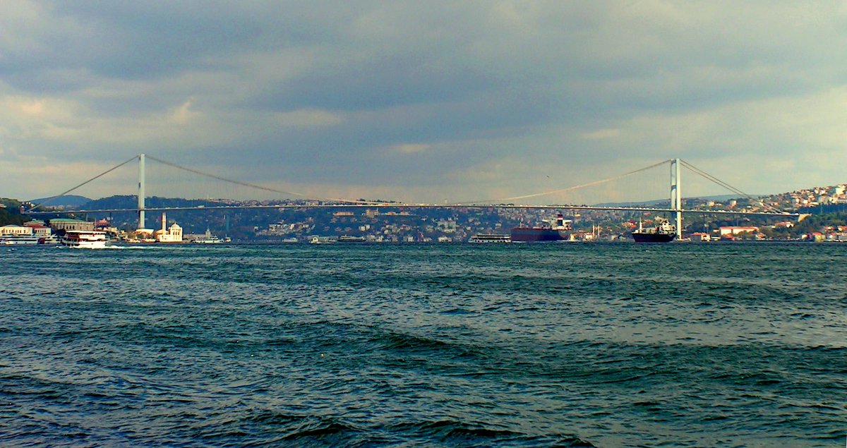 Стамбульский мост - Елена Даньшина