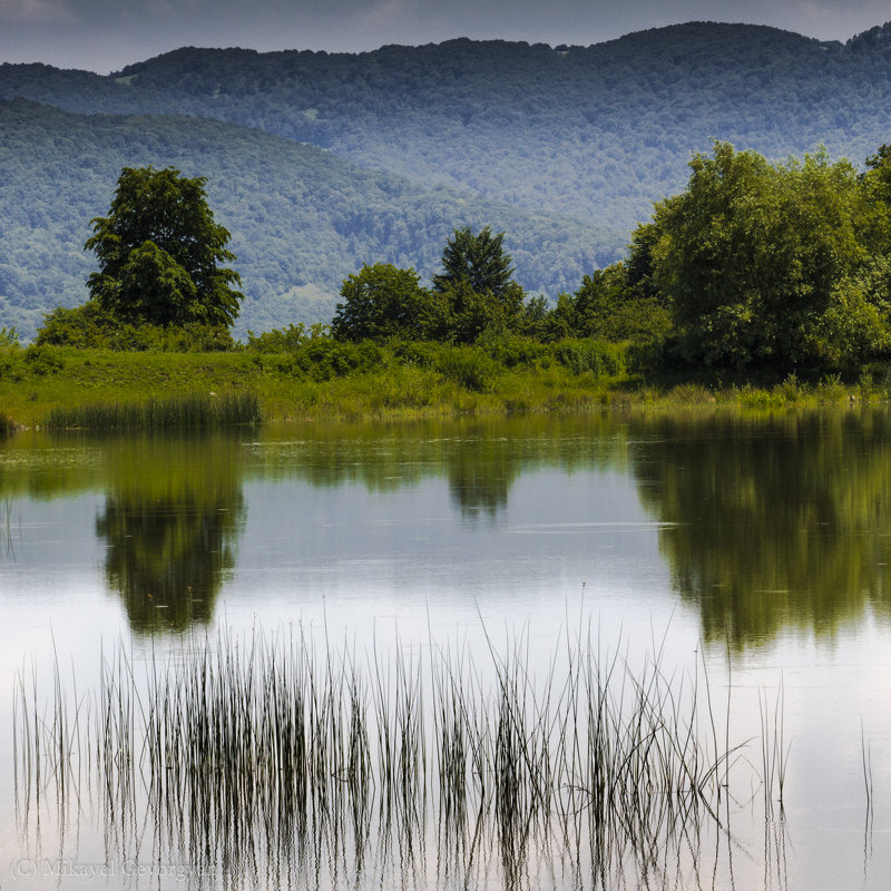 Lake Cover - Mikayel Gevorgyan