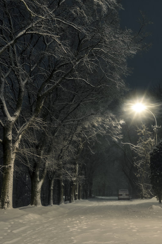 Зимняя ночь - shvlad 