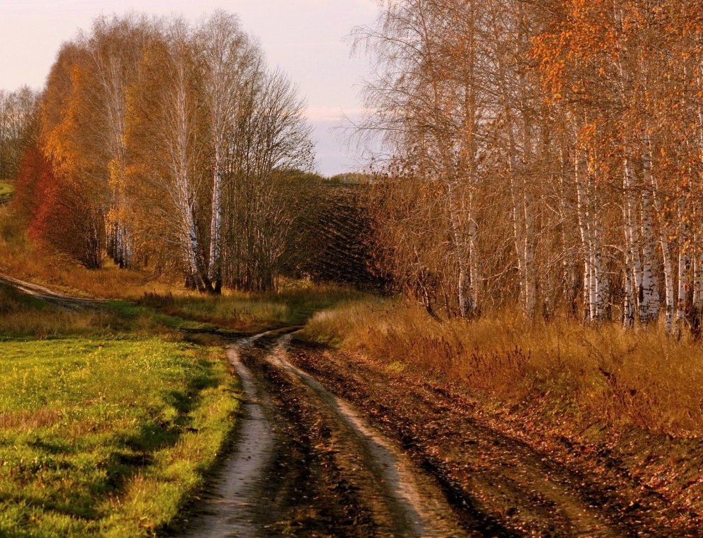 Осень на просёлочной дороге - Seva-stopol (Севастьян)