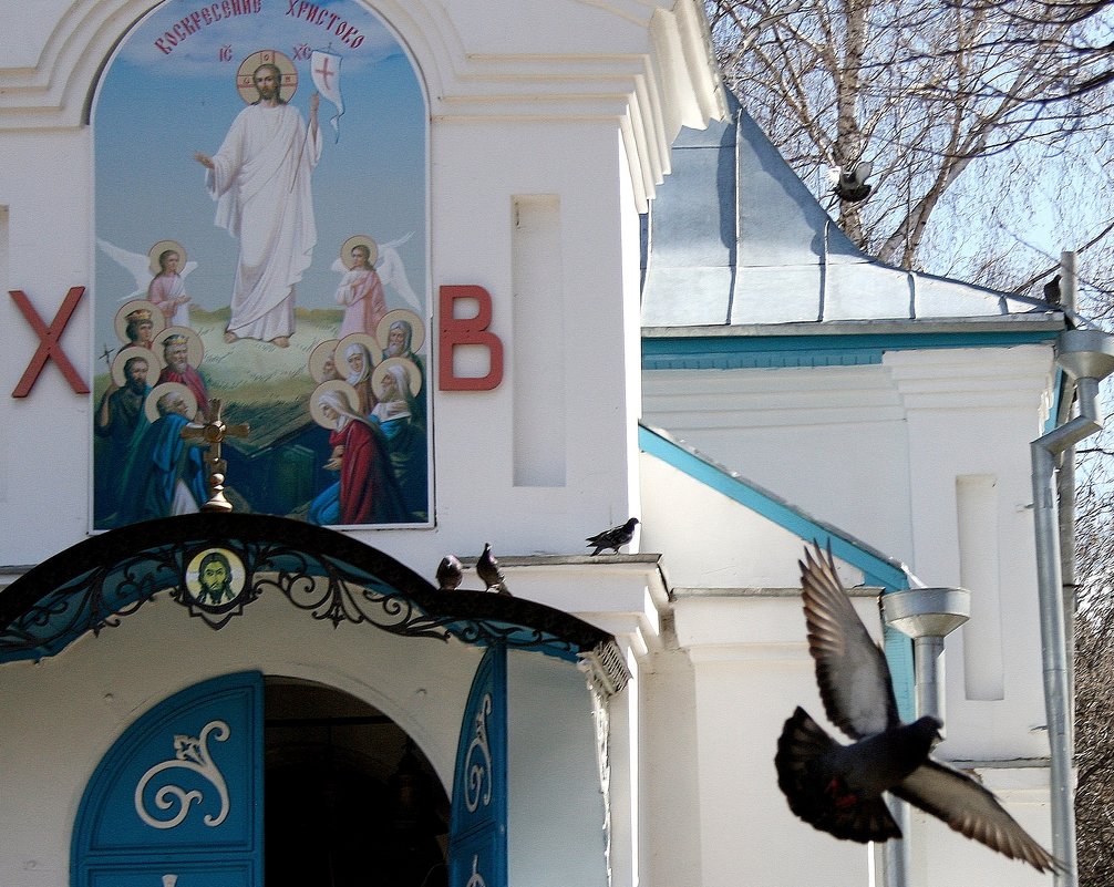 Голуби  у  Храма...Церковь-часовня Сергия Радонежского в Пензе. - Валерия  Полещикова 