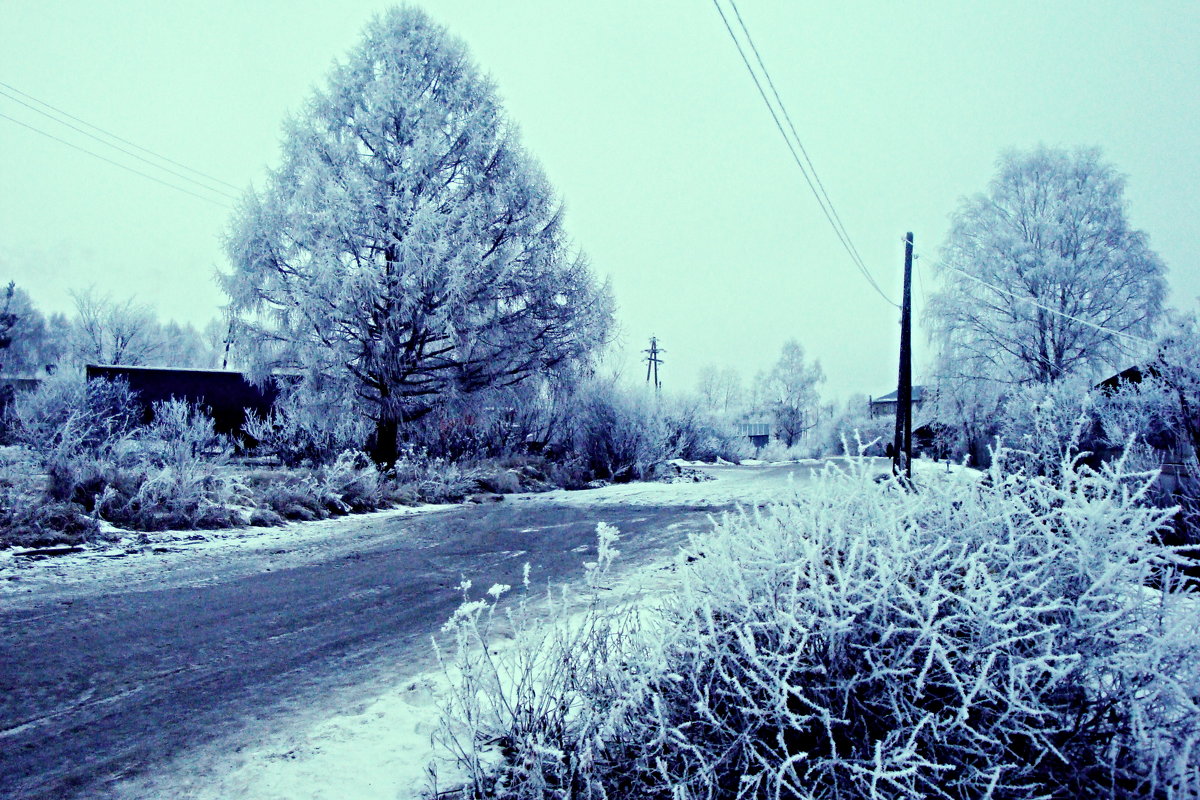 зимняя дорога - Юлия 