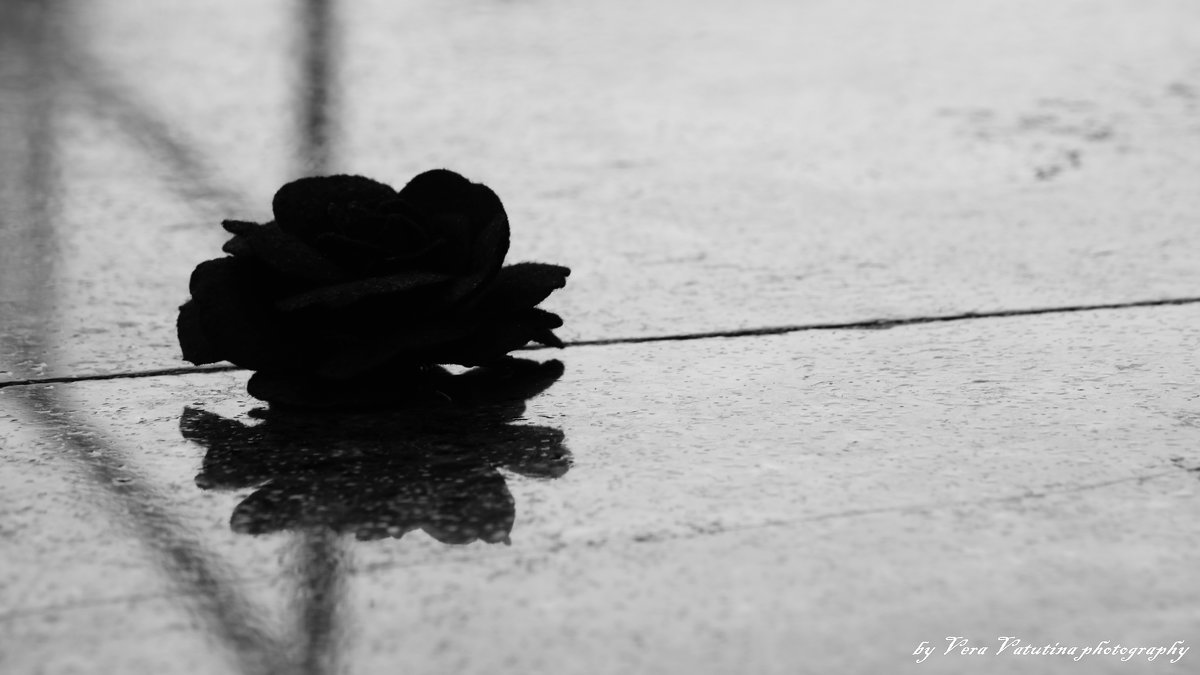 Черная роза - Vera Vatutina