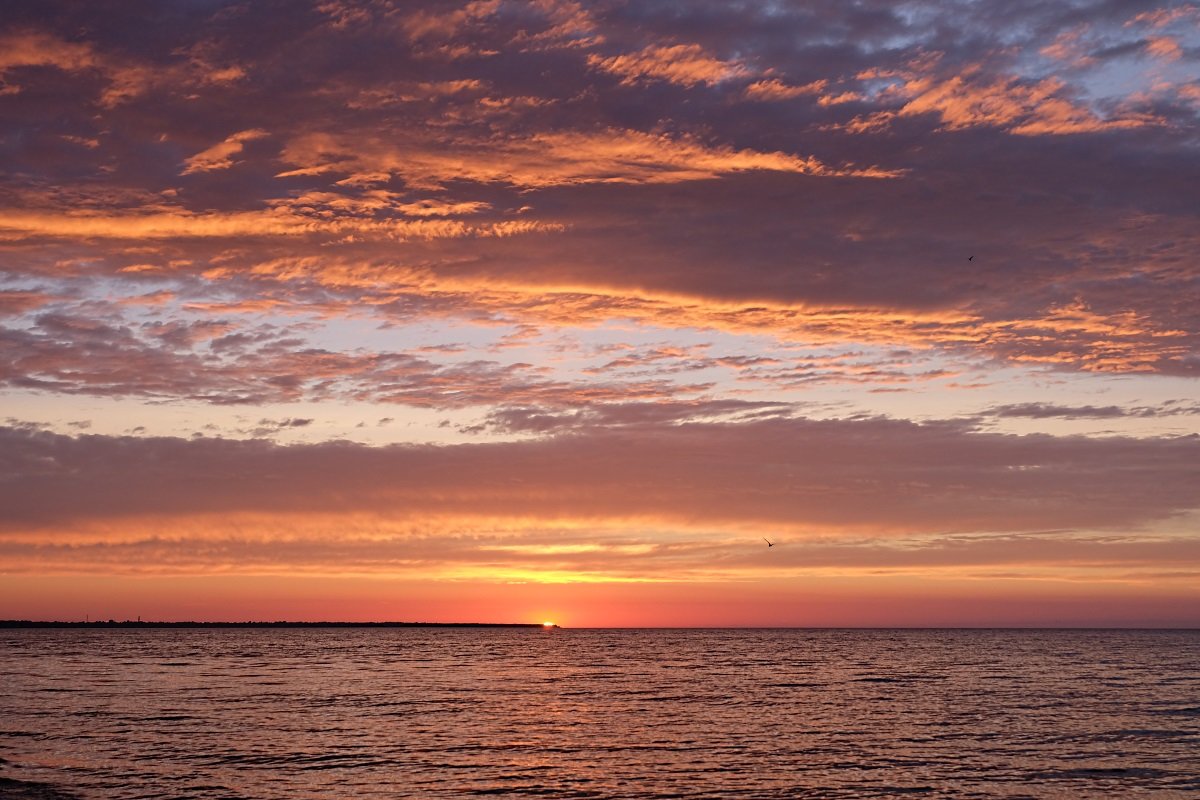 Закат над Рижским заливом - Александр Творогов